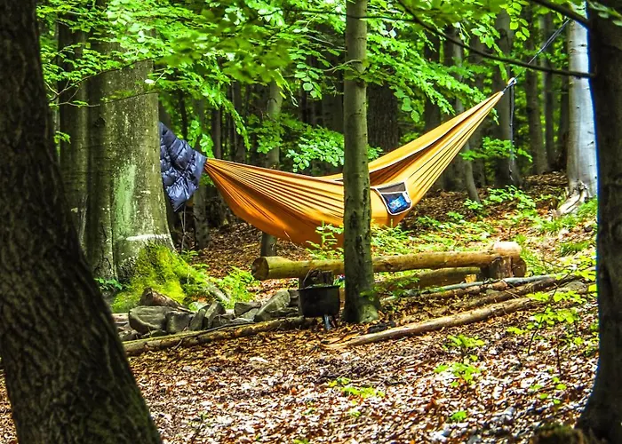 Wisilas Nad Sercowym Potokiem *