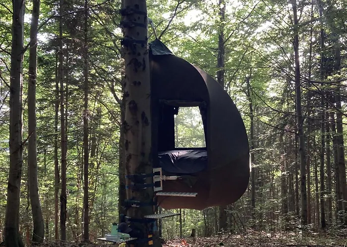 Wisilas Nad Sercowym Potokiem