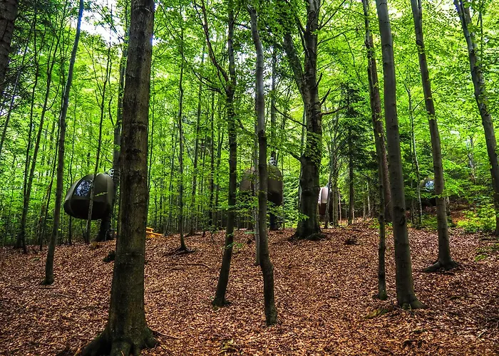 Glamping Wisilas Nad Sercowym Potokiem *