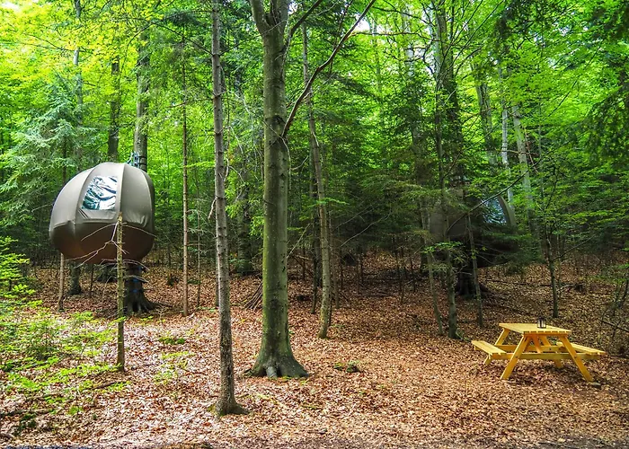 Glamping Wisilas Nad Sercowym Potokiem Rabka-Zdrój