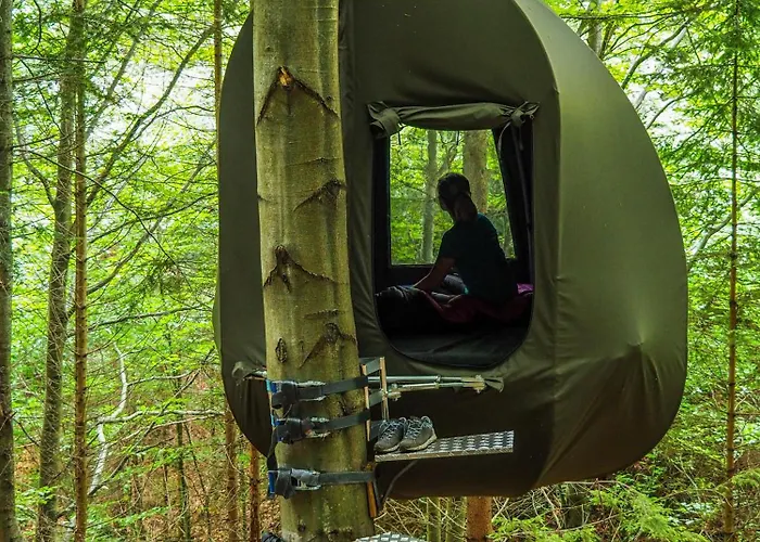 Wisilas Nad Sercowym Potokiem *