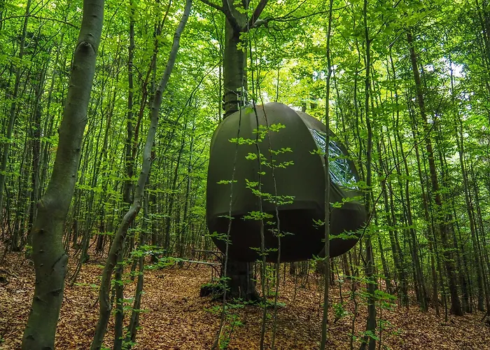 Glamping Wisilas Nad Sercowym Potokiem