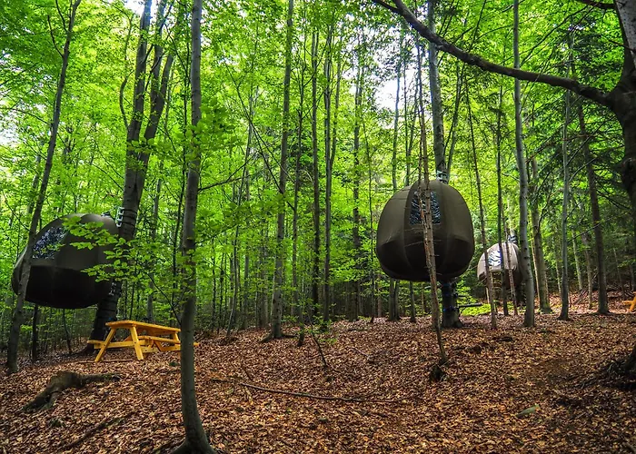 Wisilas Nad Sercowym Potokiem *