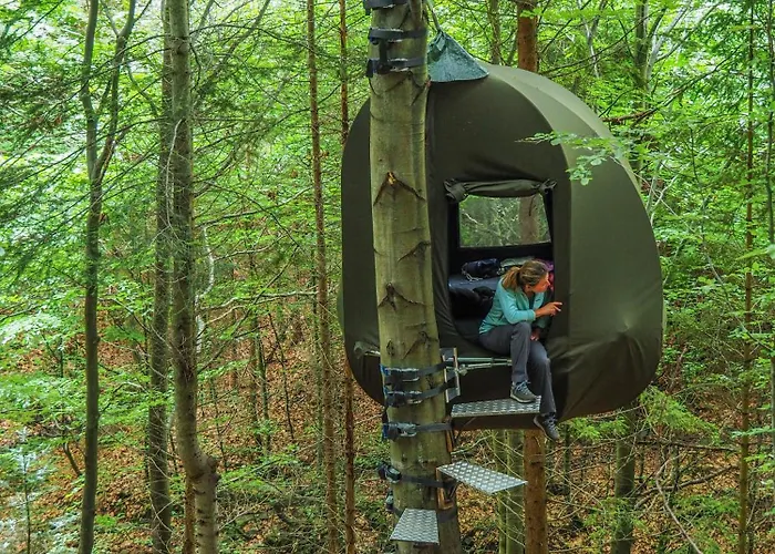 Wisilas Nad Sercowym Potokiem Glamping *