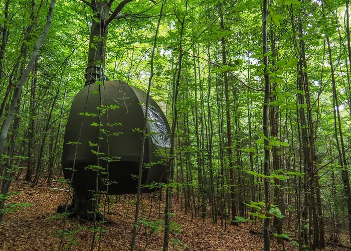 Wisilas Nad Sercowym Potokiem * Rabka-Zdrój